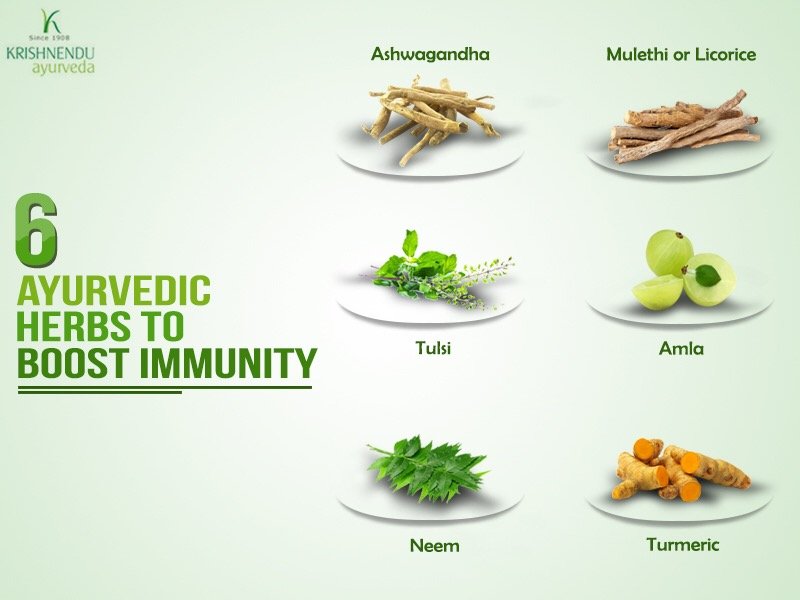 Immunity Boosters